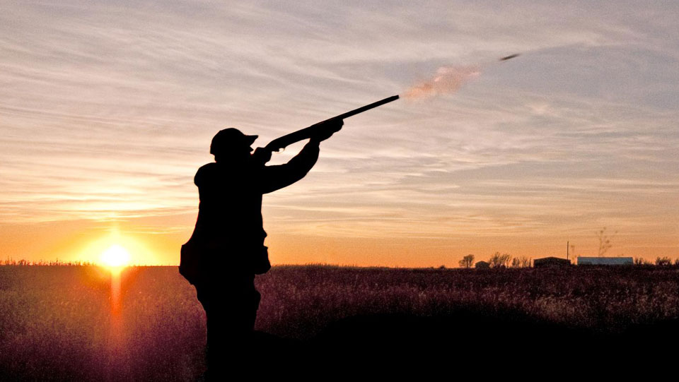 Pheasant Packages for 777 Outfitters