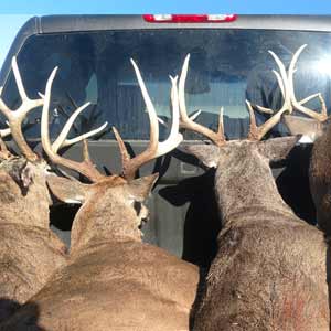 Midwest Whitetail Adventures: Kansas bow hunts that will blow you away!