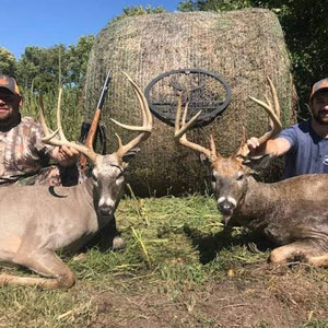 Midwest Whitetail Adventures: hunt monster whitetail 