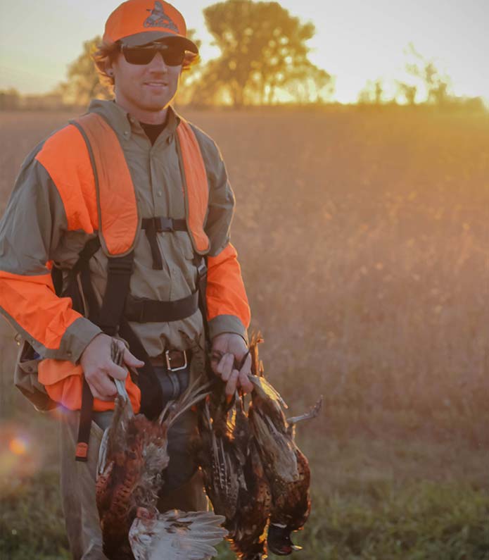 successful-ks-pheasant-hunts Kansas Pheasant Hunts