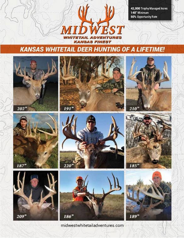 Midwest Whitetail Adventures deer hunt brochure