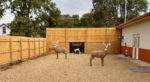 Photo of MWA hunting practice range. Area is surrounded by wooden fence and dotted with buck targets.