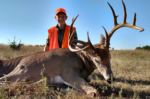 Guided youth deer hunts