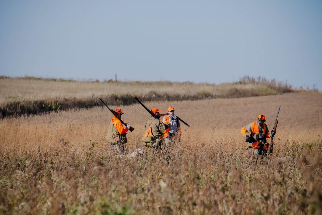 kansas-pheasant-hunt-gallery-10