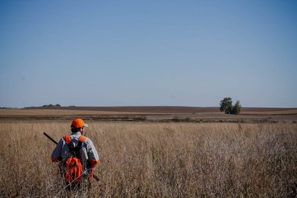 kansas-pheasant-hunt-gallery-11