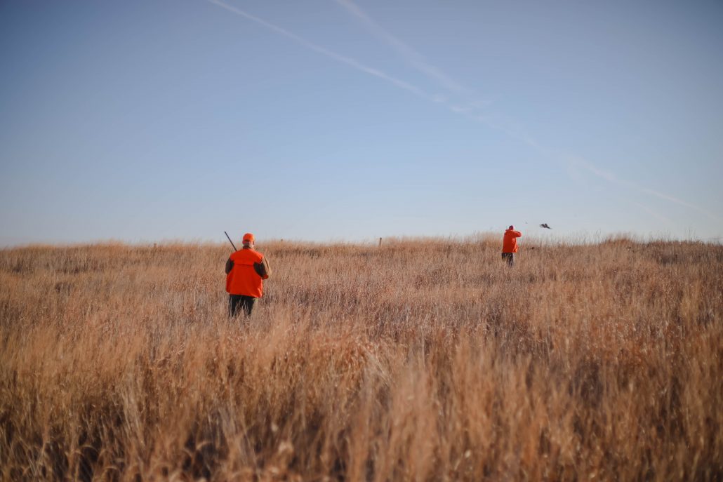 kansas-pheasant-hunt-gallery-13