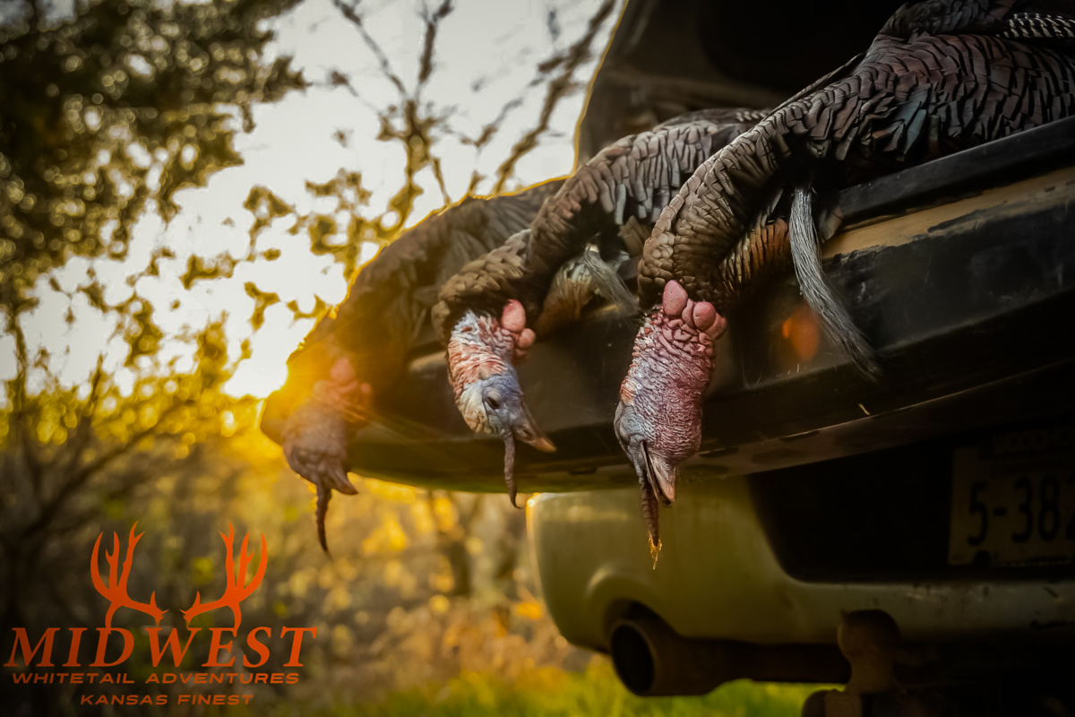 Kansas turkey hunts you will want to write home about
